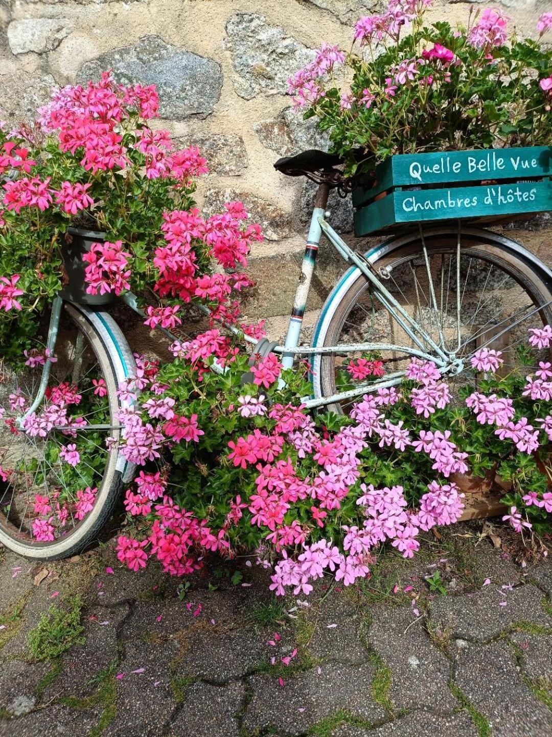 'Quelle Belle Vue' Chambre D'Hote กงโฟลองส์ ภายนอก รูปภาพ
